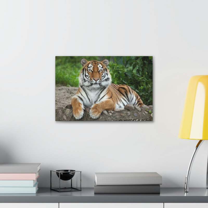 Art de tigre sibérien majestueux, H 12 po x l 18 po