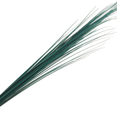 114cm Onion Grass Grass
