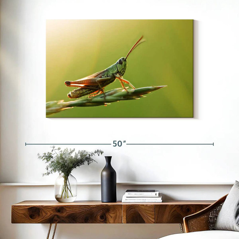 Grasshopper