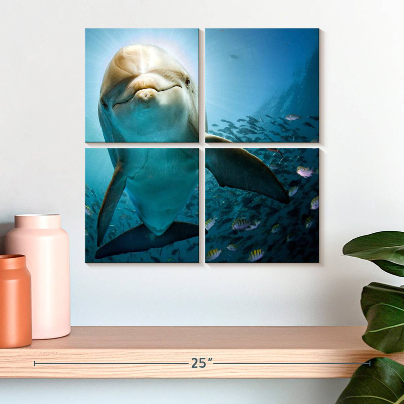Brampt Curious Dolphin, 18'' H x 18'' W