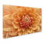 Art mural sur toile tendue - «Dahlia orange» Cora Niele pour décoration de salon, de chambre à coucher ou de bureau - 16 x 24-32709111