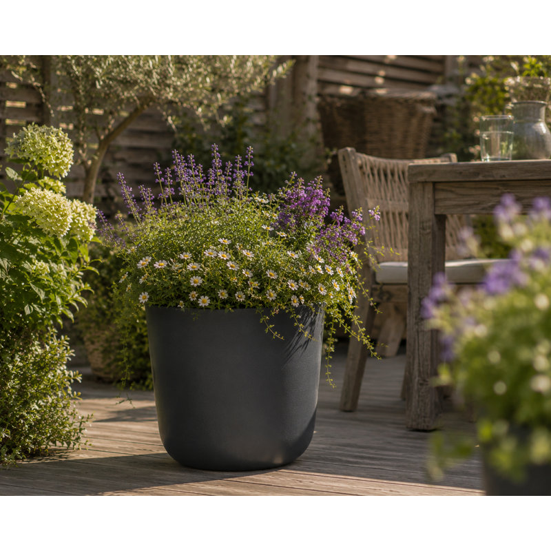 Ashley Round Egg Planter, Concrete Effect, Indoor and Outdoor Round Plant Pot with Drainage Hole, 45cm H x 45cm W x 45cm D