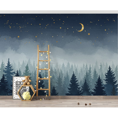 Dreamy Night Forest