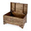 Nador Hand-Painted Brass Inlay Storage Trunk Coffee Table-1120310384