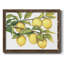 «Ripe For Picks II», peinture sur toile encadrée-872248531-872248530