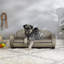 Canapé pour chien Hymel-79556117-90579596
