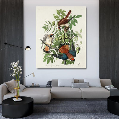 Lark Manor™ Audubon, John James Gallery Wrapped Canvas Art Titled: American Sparrow Hawk