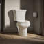 Wellworth® 1.28 GPF (Water Efficient) Round Two-Piece Toilet  (Seat Not Included)-10980022-101431097
