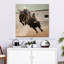 Rodeo taureau Brampt Cowboy-109377447