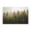 «Misty Pine Tree Forest Nature Wilderness», reproduction d'art sur toile-1621297237
