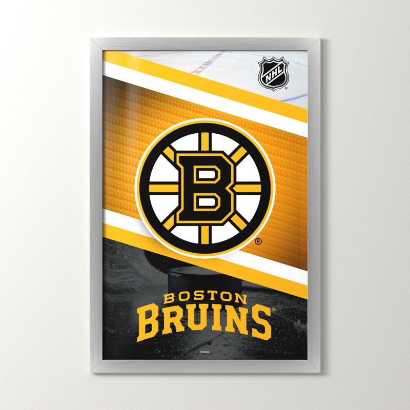 Boston Bruins NHL, art mural, H 48 po x l 32 po, Framed Acrylic, Silver