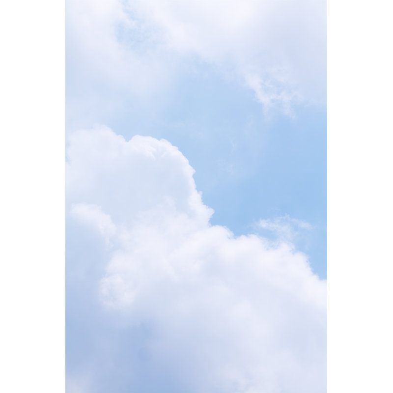 Tropical Sky At Hot Day by Justhavealook - Print, 76cm H x 51cm W