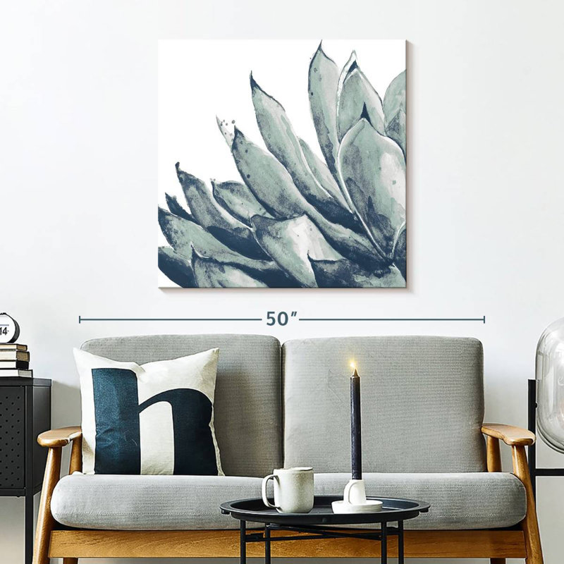Agave bleu Harnek sur fond blanc I, H 30 po x l 30 po