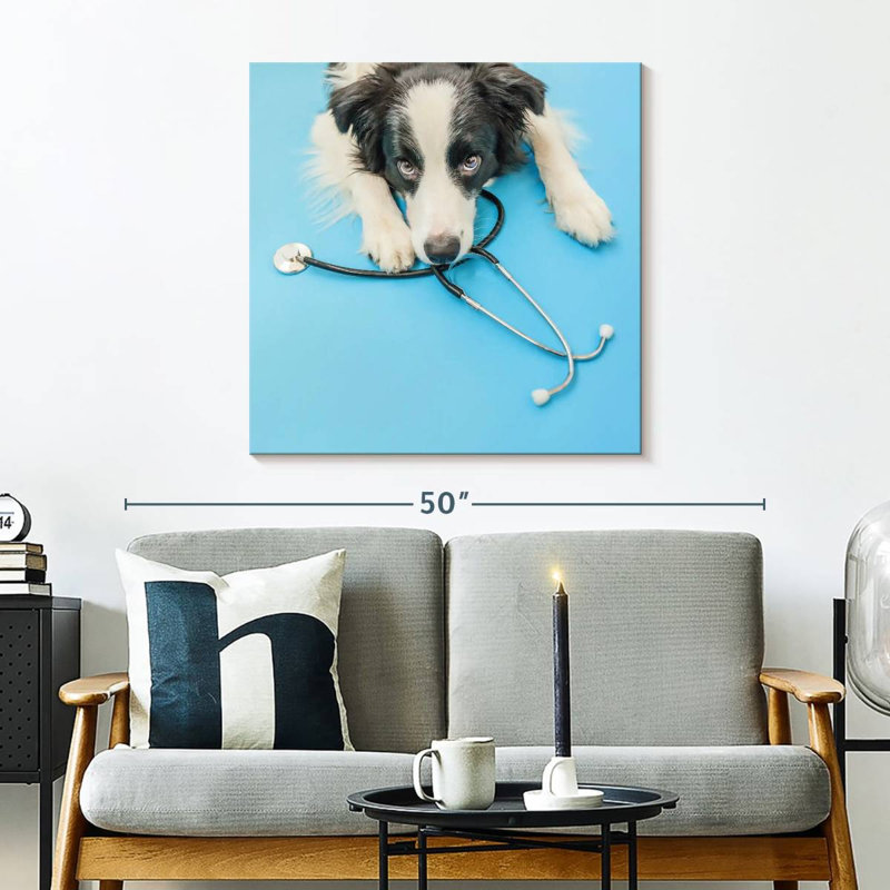 Brampt Dog Doctor, H 30 po x l 30 po