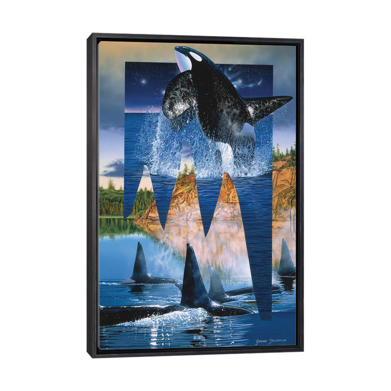 Orca Reflections par Graeme Stevenson - reproduction d'art, Toile encadrée noir délavé, H 48 po x l 32 po x P 1,5 po