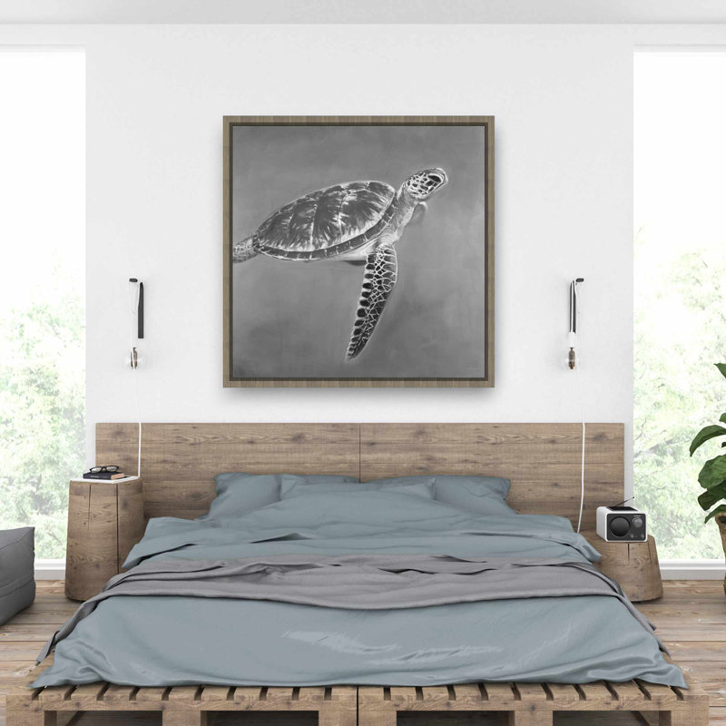 Grayscale Aquatic Turtle - Gray Coastal Framed Canvas Art