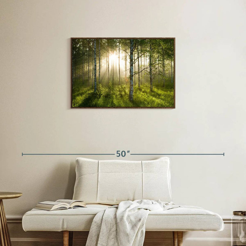Birch Forest Sunlight, Cadre flottant noyer, 31 po x 21 po