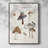 Mushroom Chart Framed Print - Solid Wood-1437885046