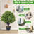 Guttenberg Faux Boxwood Topiary in Pot