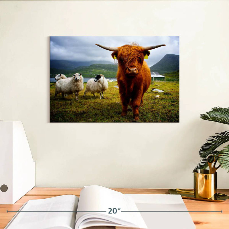 Brampt Highland Cow and Friends, H 8 po x l 12 po