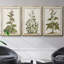 «Munting Botanicals IV», ensemble de 3 toiles encadrées-97708881-97708877