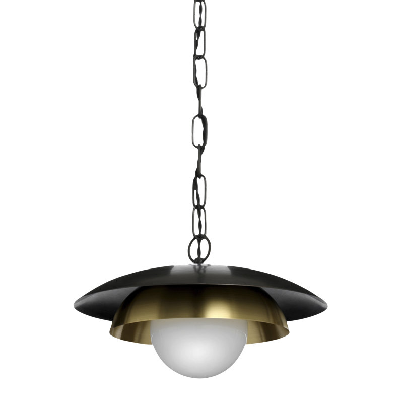 Carapace 1 - Light Pendant