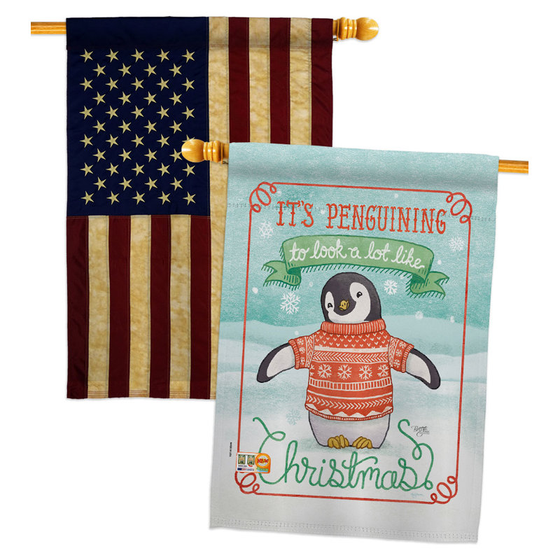 Drapeau de maison à 2 côtés en polyester / mélange de polyester 40 x 28 po