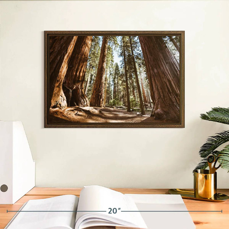 Été dans le parc Sequoia, 13 po x 9 po, Cadre flottant noyer