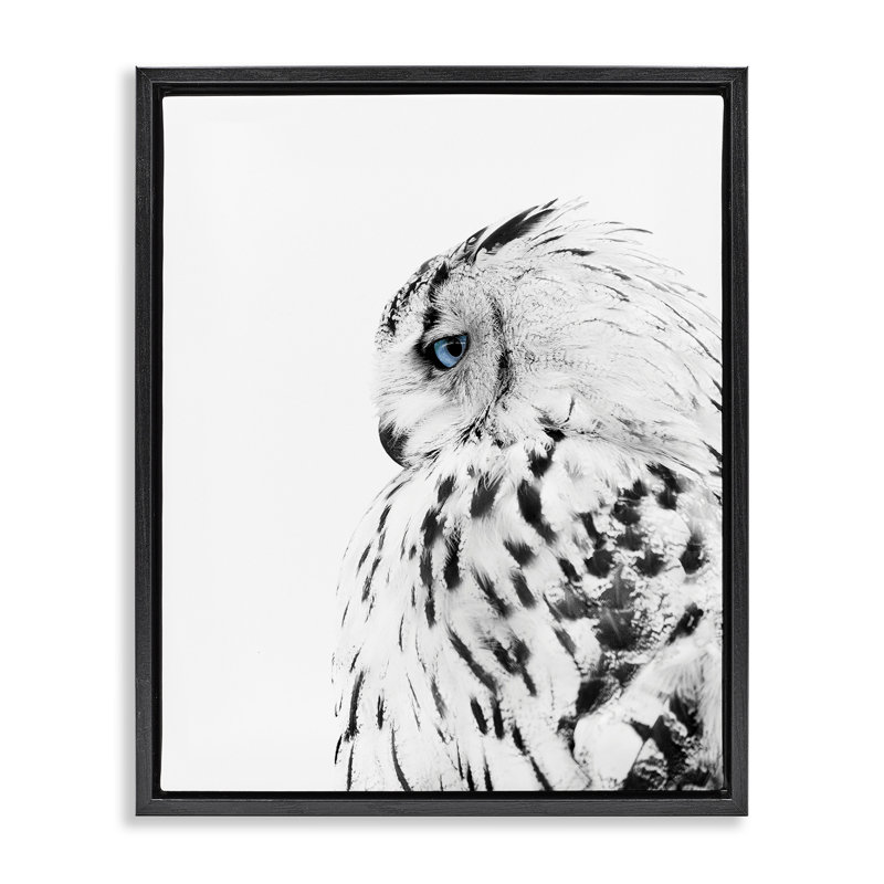 «Snow Owl Feathers Peering Blue Eyes» par Design Fabrikken - impression, H 31 po x l 25 po, Cadre flottant noir de jais