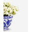 Colette Toile Baby's Breath Bowl