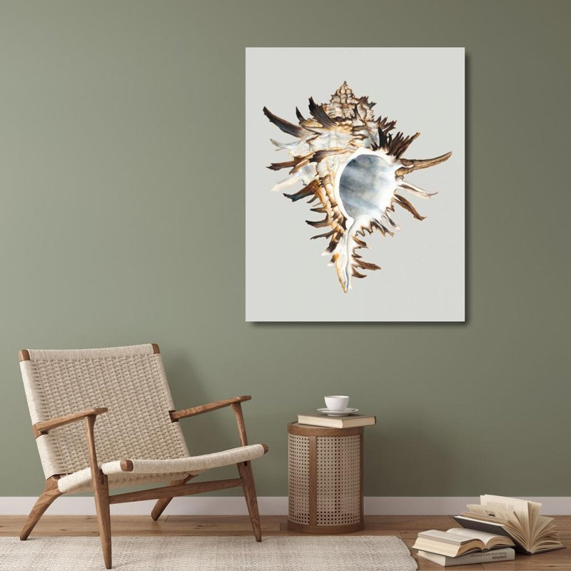Art sur toile tendue par Rosecliff Heights, Willett, Michael, titré: Murex noir, H 34 po x l 28 po