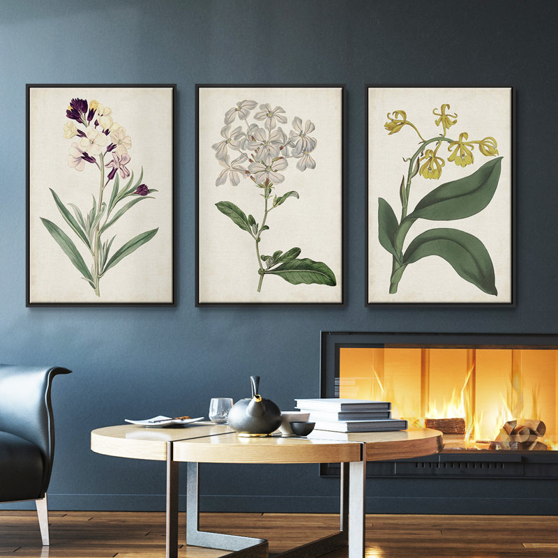 Ensemble de 3 pièces encadrées sur toile Antique Botanical Collection VII, H 40 po x l 78 po, Noir