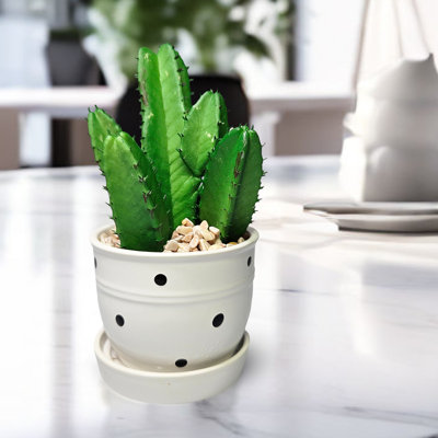 Mini arbre à lait artificiel en pot, cactus artificiel 5 po en pot blanc
