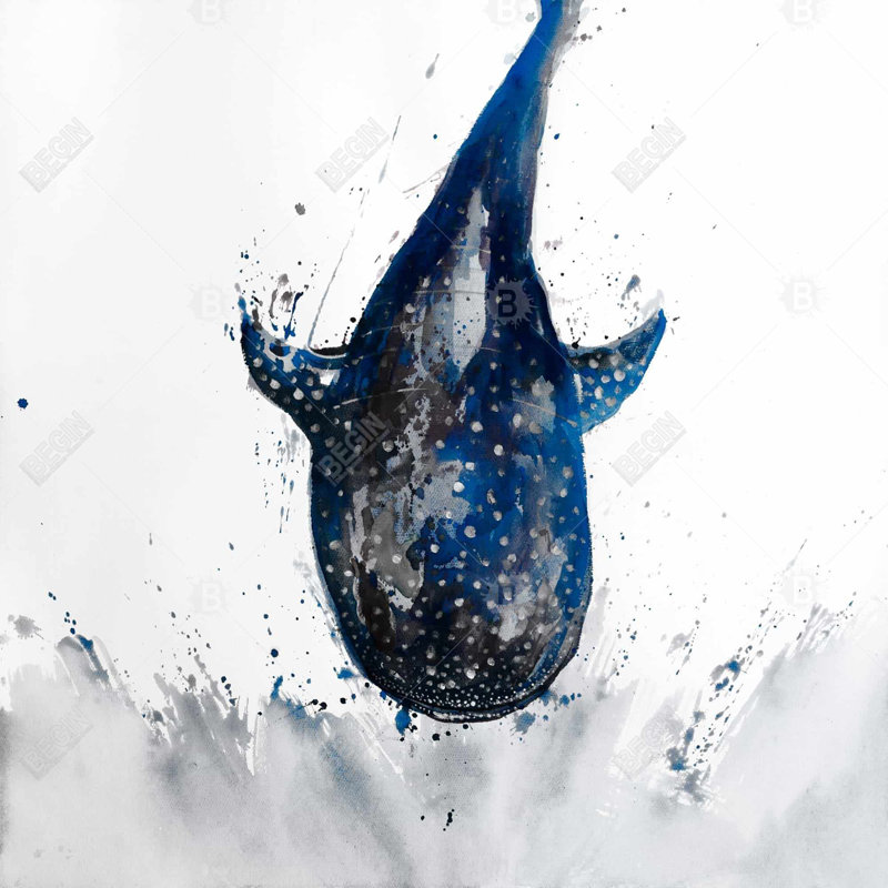 «Requin-baleine»