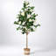 Arbre de camélia artificiel, plante en pot pour décoration de porche intérieur