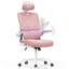 Motonobu Ergonomic Office Chair with Mesh Lumbar Support-631788497