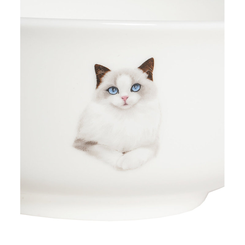 Bol en porcelaine - Ragdoll