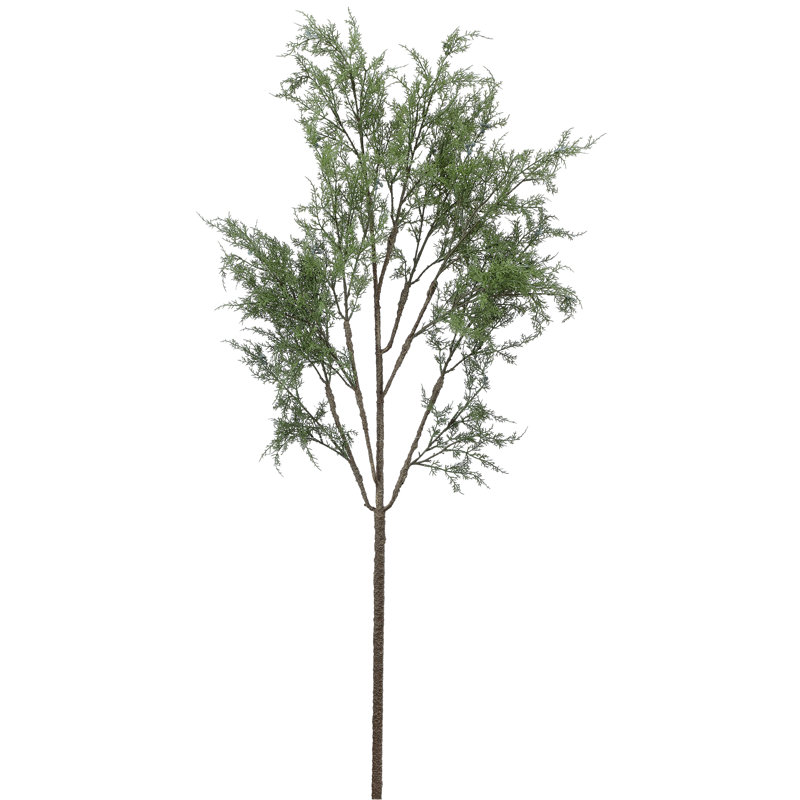 Branche de cèdre naturel 63 po