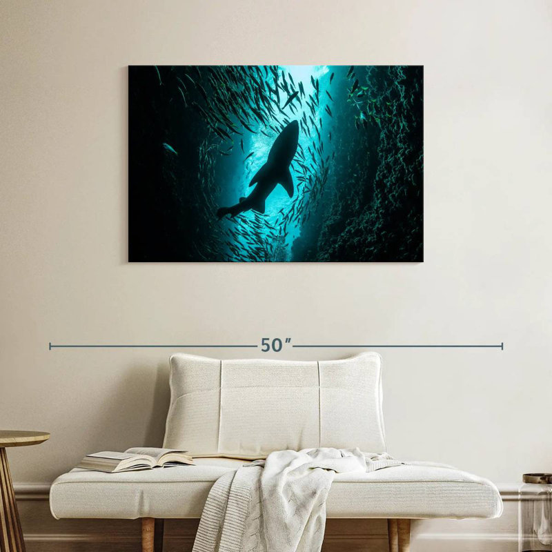 Brampt Shark Depth, 26" H x 39" W