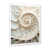Cadre simple blanc