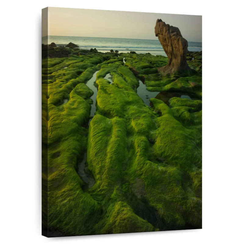 Gillard Mossy Vietnam Gillard, H 48 po x l 32 po