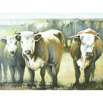 Bulls in The Field