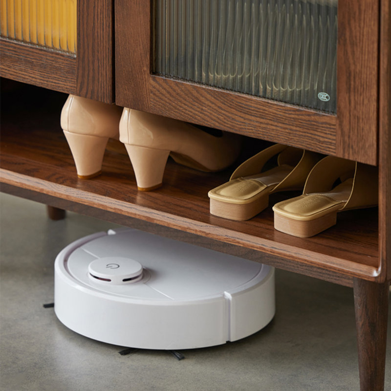 Modern simple and fashionable storage shoe cabinet