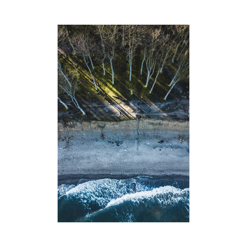 Brim 1 Piece Wrapped Canvas Wall Art, 20.32 cm H x 30.48 cm W