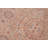 Sharyle Wool Oriental Indoor Rug