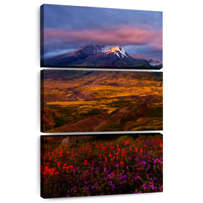 Alvord Mount Helens Wildflowers