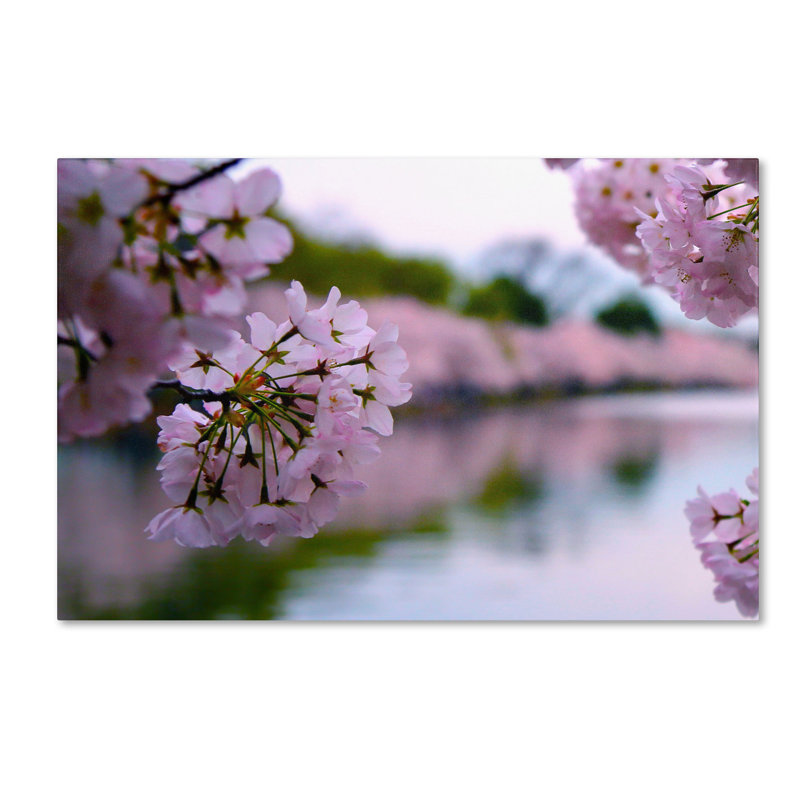 Nartuni "Cherry Blossoms 2014-2" par CATeyes, reproduction de photo sur toile tendue, H 22 po x l 32 po x P 2 po