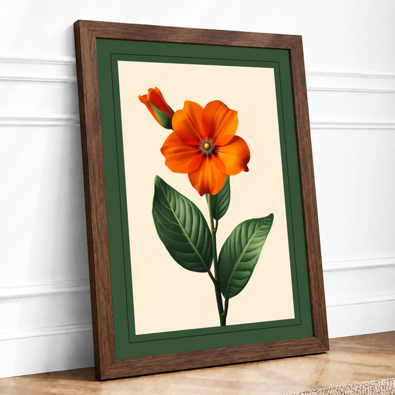 Orange Bloom With Stamens Botanical - Print, Walnut, A3 - 42.0 x 29.7 cm