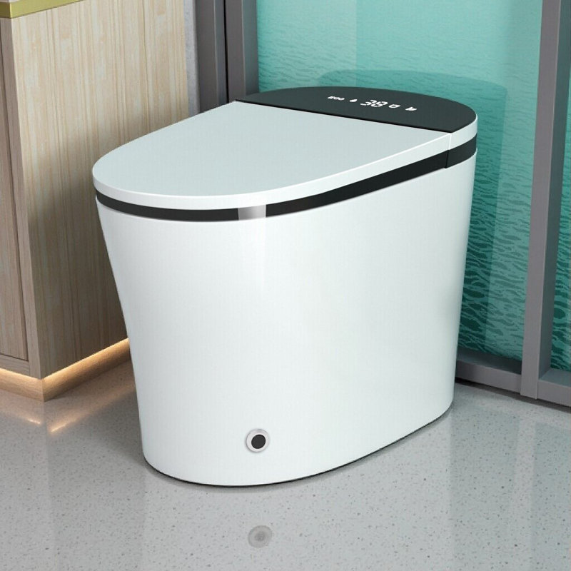 Smart One-Piece Toilet With Bidet, Heated Seat, Auto Open/Close & Led Display, White+Black
