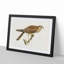 Common Kestrel by Von Wright - Picture Frame Painting Print-55510303-55510304